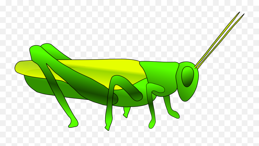 Free Cricket Insect Cartoon Download Free Clip Art Free - Cricket Animal Clipart Emoji,Jiminy Cricket Emoji