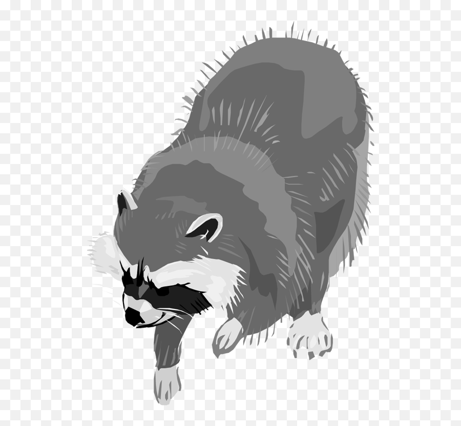 Free Raccoon Clipart 4 - Portable Network Graphics Emoji,Coon Emoji