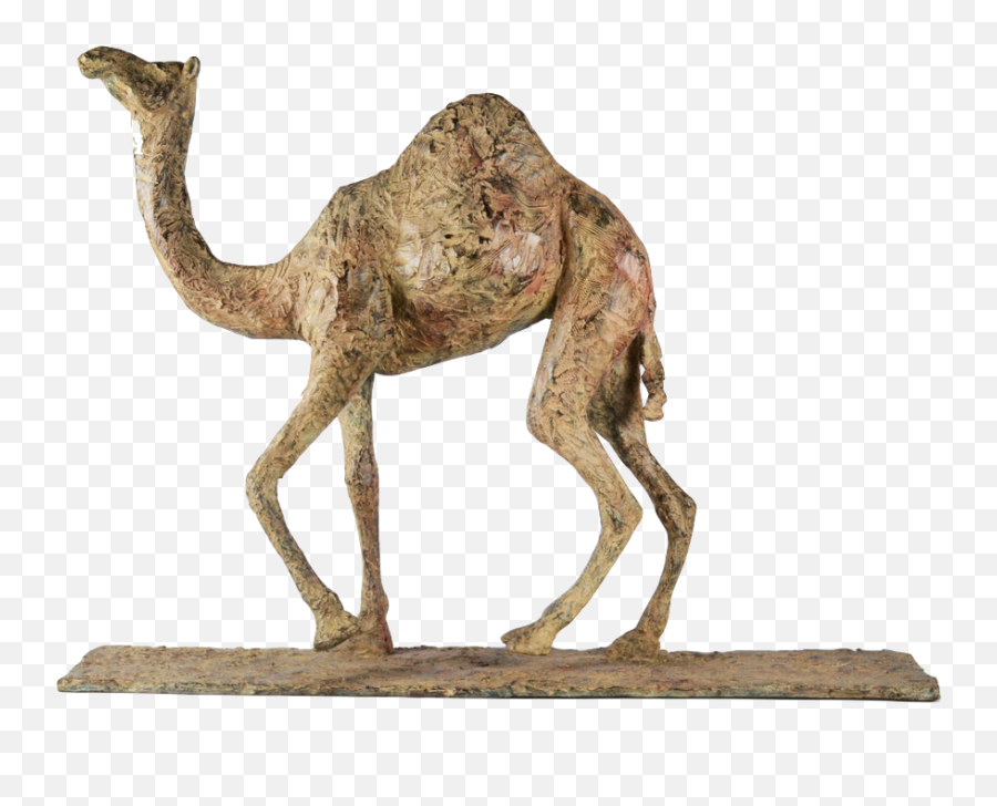 Camel - Animal Figure Emoji,Emotion Camel