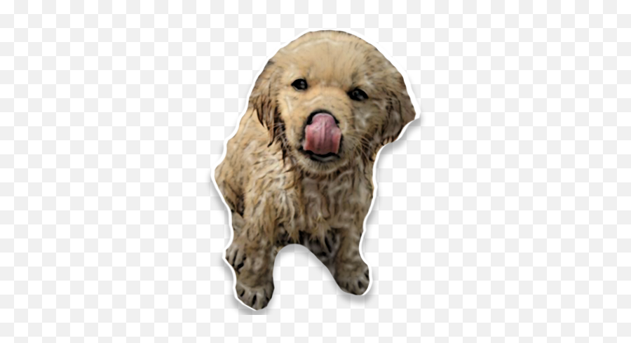 Puppyme - Beige Aesthetic Beige Emoji,Labradoodle Emoji
