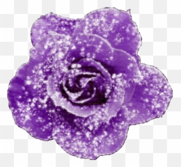 Animatedrosepurple - By Kittykatluv65 Animated Glitter Emoji,Dancing Purple Flowers Emoticon Animated Gif