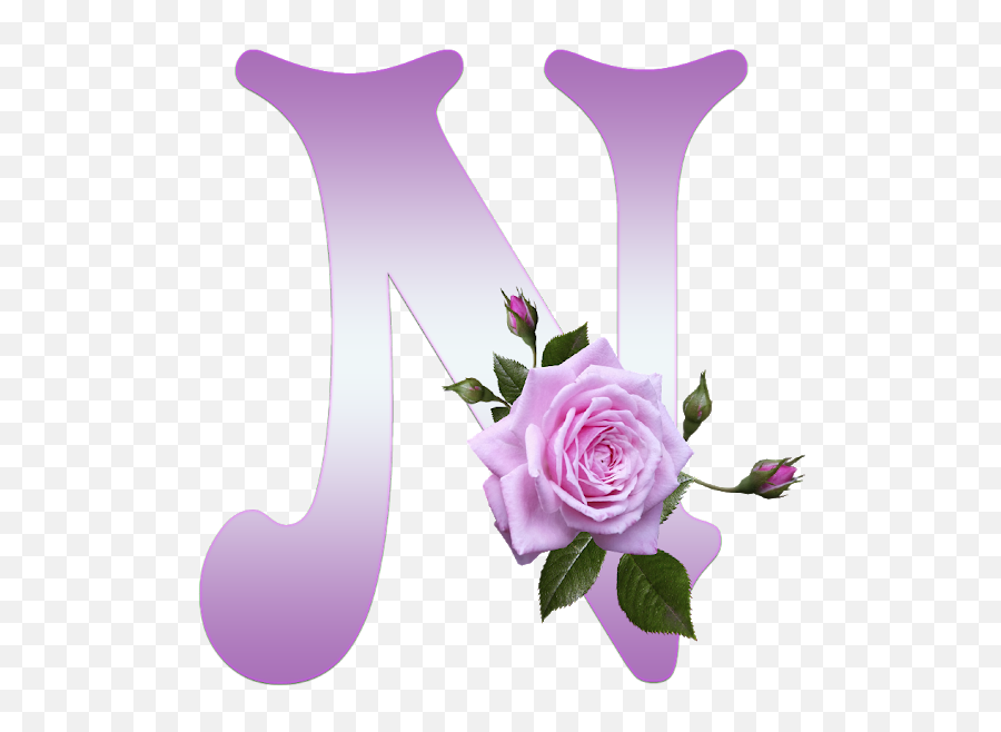 Flower Letters - N Harfi Profil Resmi Emoji,Rose Emoji Android