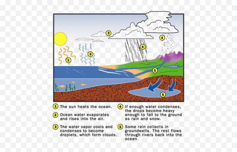 35 Trends For Science Water Cycle Images For Class 6 - Cycle Of Rain Emoji,Bike And Muscle Emoji Answer