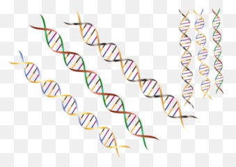 Yellow Aesthetic Why Weu0027re Drawn To The Color Yellow - Dna Emoji,Color Emotion Meanings