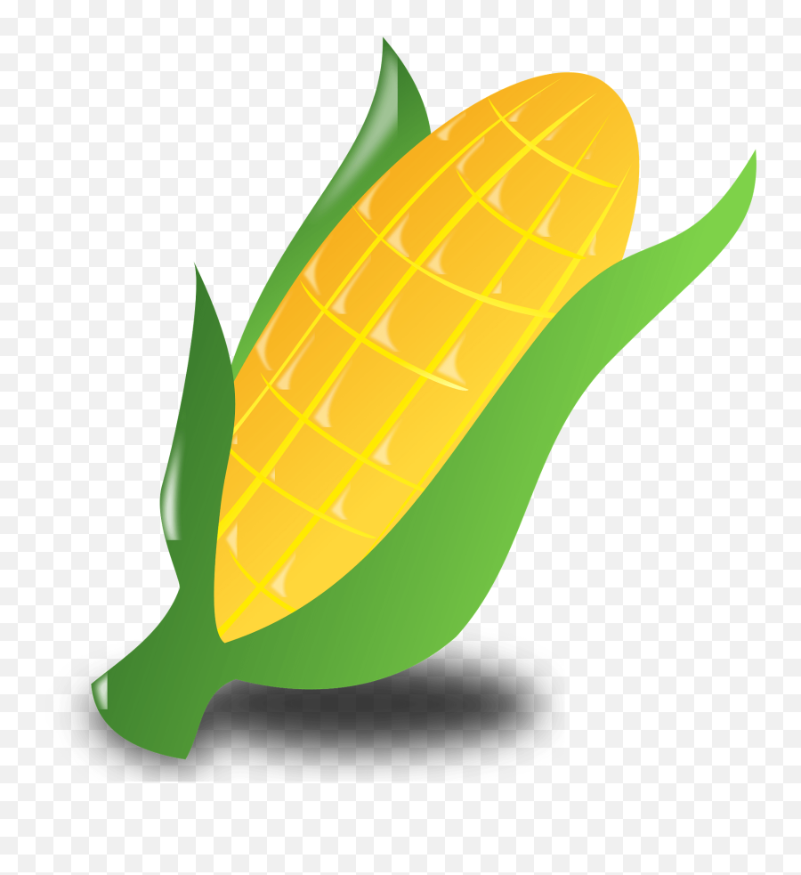 Ear Of Corn In The Shuck Clipart - Corn Clip Art Emoji,Corn Emoji