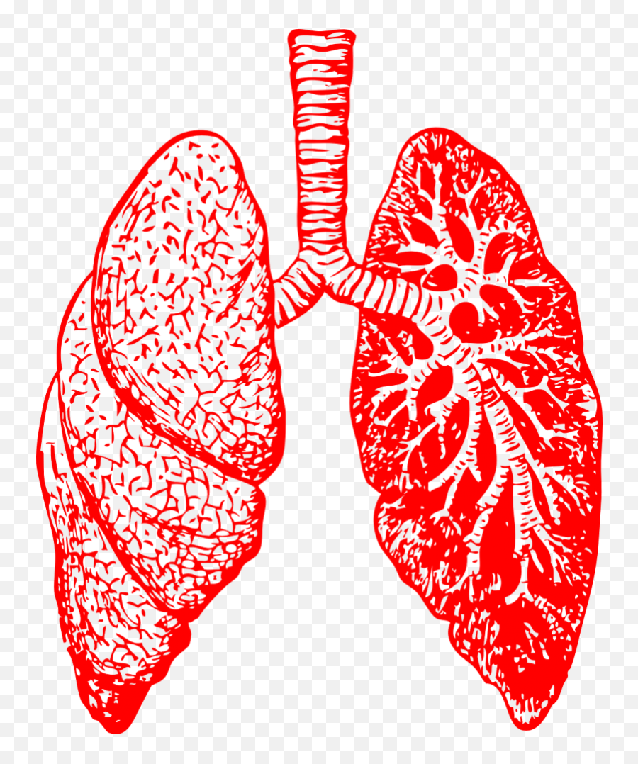 Respiratory Depression Cartoon Emoji,Depressed Meme Plates Emotions