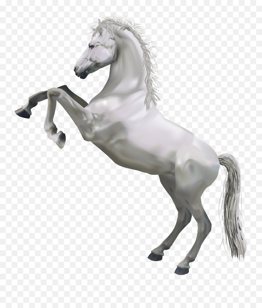 White Stallion Png U0026 Free White Stallionpng Transparent - Transparent White Horse Clipart Emoji,Fish And Horse Emoji