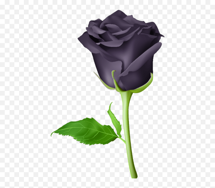 Black Rose Png Hd Png Image With Transparent Background Emoji,Emoji Flower Rose