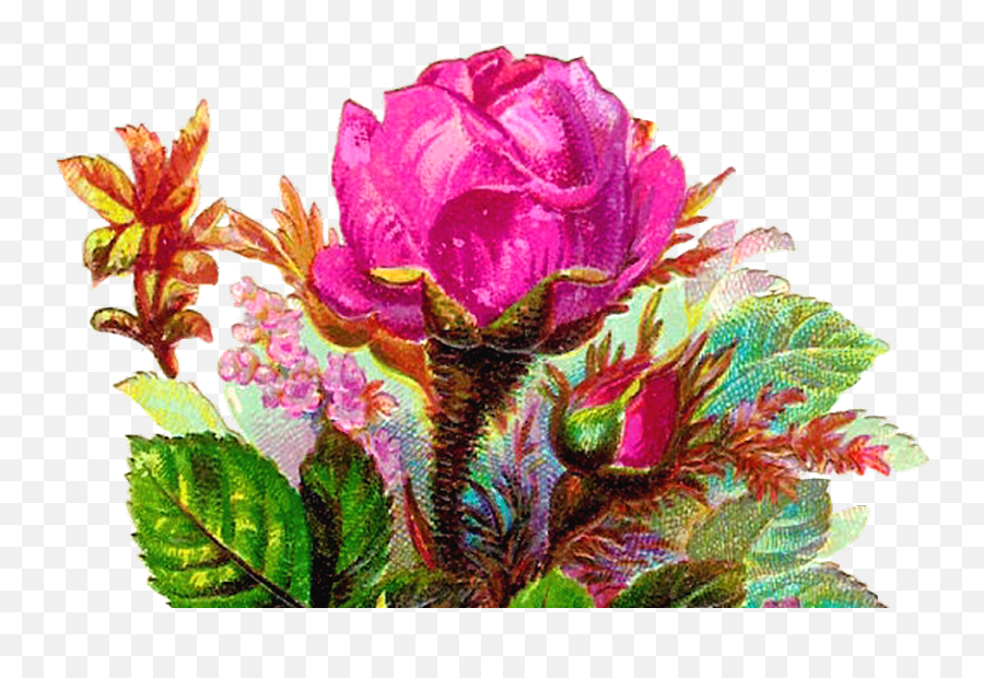 Antique Images Vintage Digital Flower Clip Art Pink Rose Emoji,Tulip Emoji