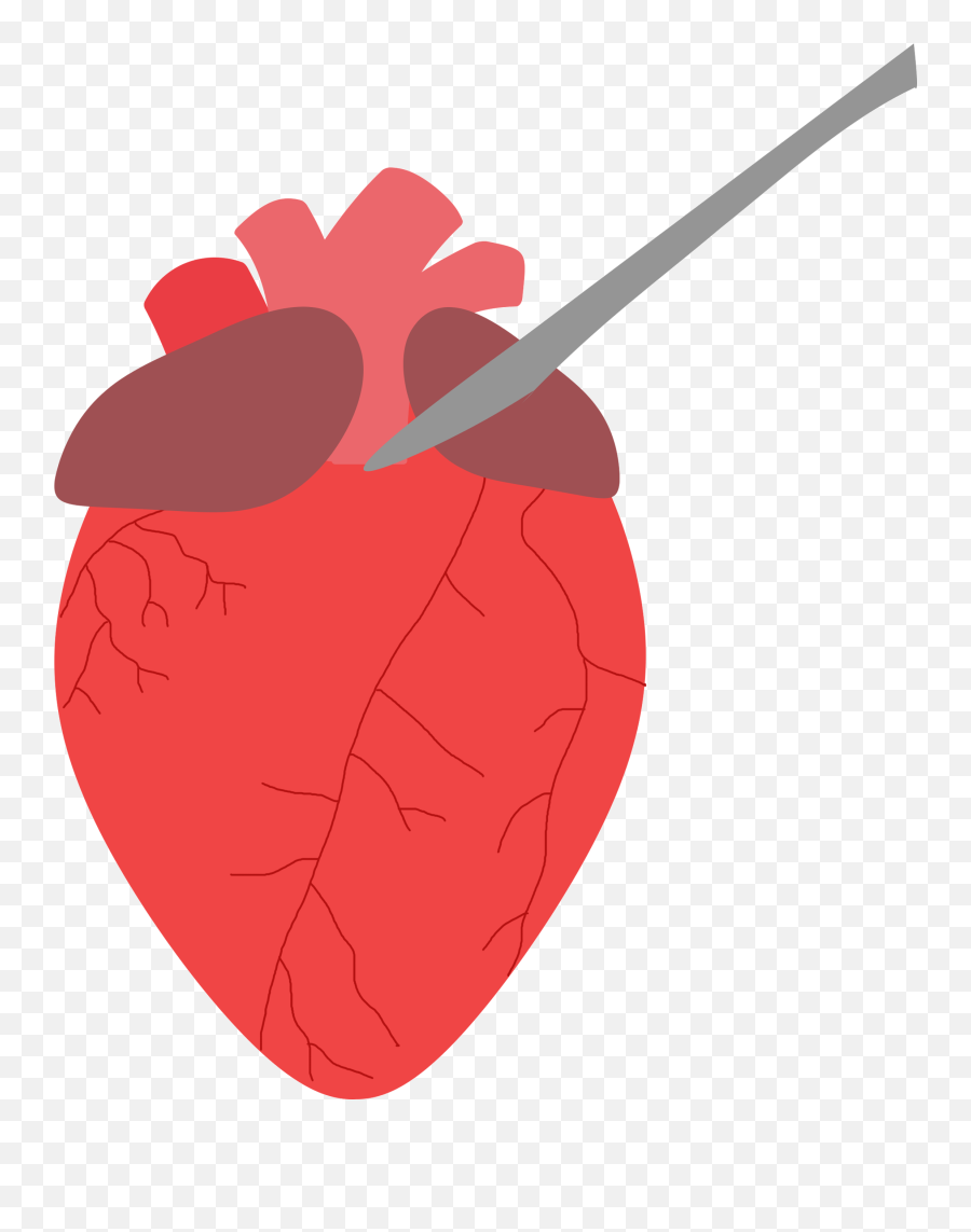 Fppn And Snhs Collaborate To Conduct Heart Dissections El - Heart Scalpel Gif Emoji,Scalpel Emoji