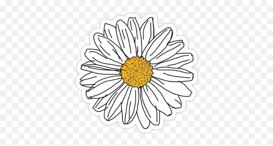 Flower Flores Margarita Sticker By Sayuri Murakami - Daisy Flower Sticker Png Emoji,Find The Emoji Cheats Margarita