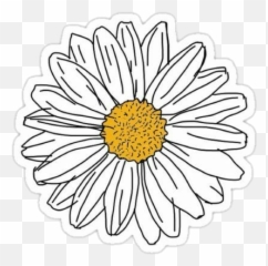 Flower Flores Margarita Sticker By Sayuri Murakami - Daisy Flower Sticker Png Emoji,Find The Emoji Cheats Margarita