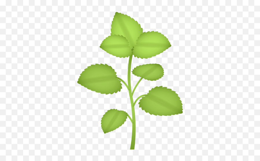 Herb - Whatsapp Plantas Emoji,Herb Emoji