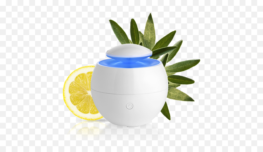 Holiday Gift Guide 2019 The Best Diffusers For Plant - Based Emoji,Doterra Oils Emotions Wheel