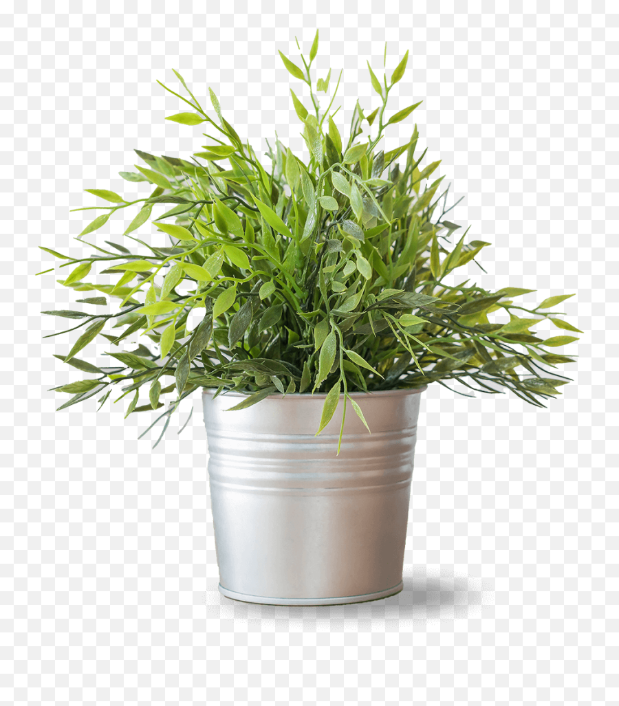 Weu0027re Cooleaf Top Rated Employee Engagement U0026 Experience Emoji,Houseplant Emoji