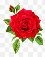 The Most Edited - Resimli Mevlid Kandili Mesajlar Emoji,Amber Rose Emoji