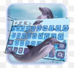 Dolphins Come Live - Common Bottlenose Dolphin Emoji,Dolphin Emoji Android