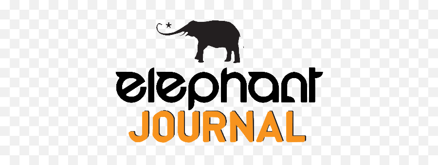 Elephant Journal U0027the Man Behind The Curtainu201d Book Excerpt - Elephant Journal Emoji,Elephant Touching Dead Elephant Emotion