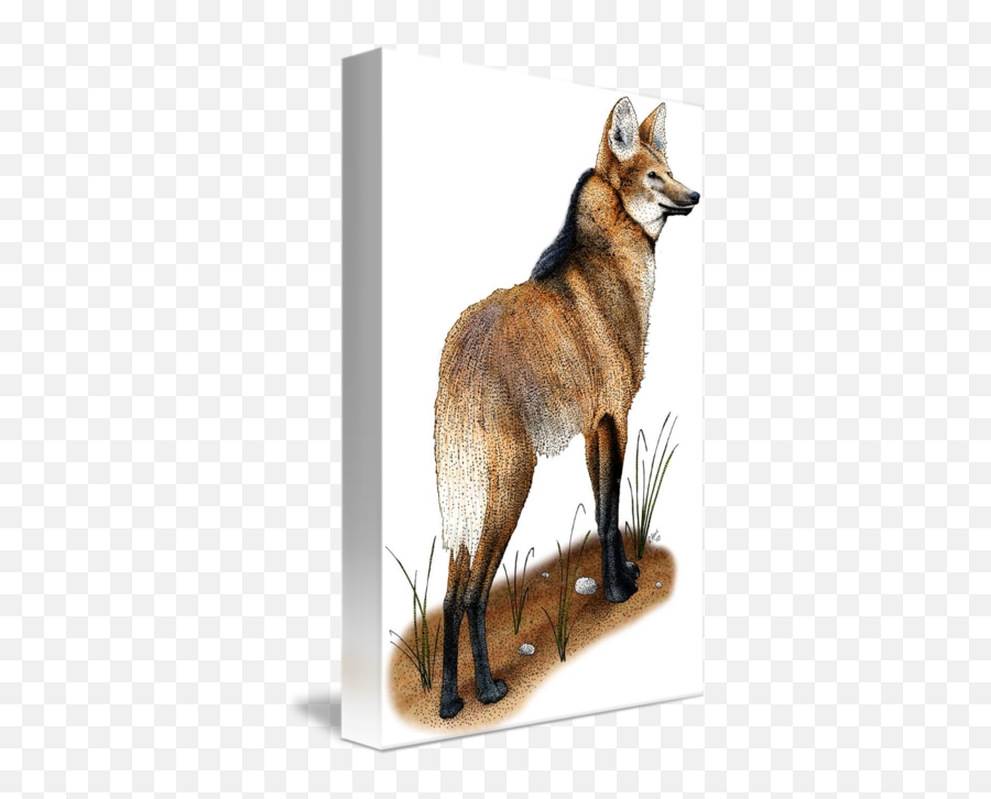 Maned Wolf - Red Fox Emoji,Are Maned Wolves Show Emotions