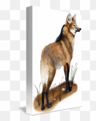 Maned Wolf - Red Fox Emoji,Are Maned Wolves Show Emotions