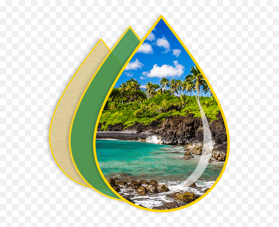 Maui Plumbers - Natural Landscape Emoji,Hd Wallpaper Maui High Emotions