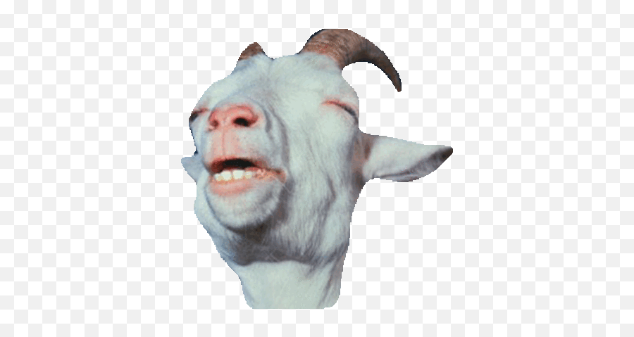 Goat Gif - Greatest Of All Time Goat Gifs Transparent Emoji,Pot Smoking Emoji Gif