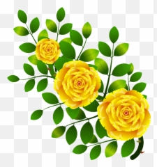 Meet The Grands - Yellow Green Flower Png Emoji,Order Of The Amaranth Emoji