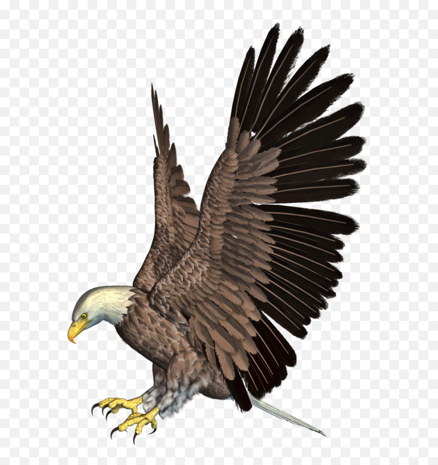 Eagle Emoji Clipart - Iphone Hawk Emoji,Eagle Emoji - Free Emoji PNG Images  