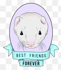 Illustration Gaby Mcmullan - Ferret Emoji,Weasel Emoji