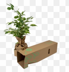 Catalog - Clickpax Emoji,Houseplant Emoji