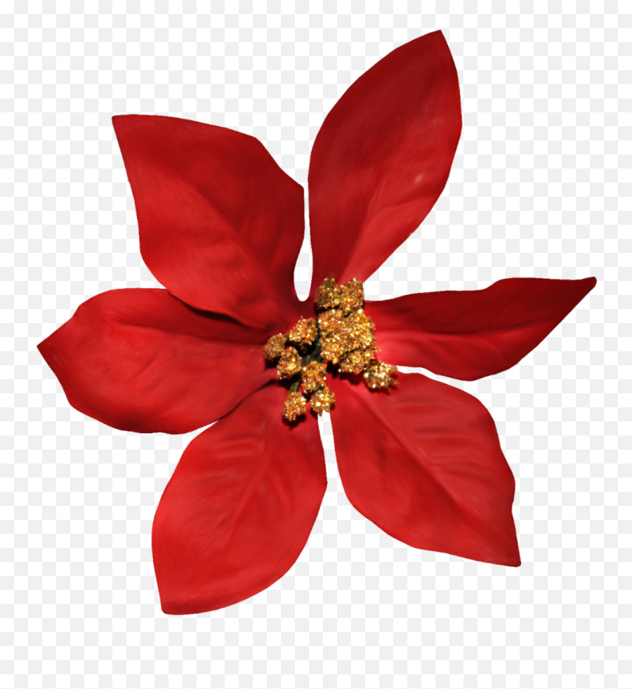 The Most Edited - Poinsettia Emoji,Poinsettia Emoji