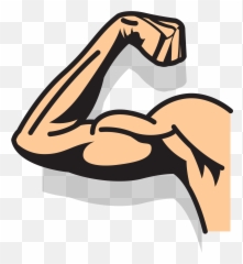 Elbow Clipart Stong Elbow Stong - Strong Arm Transparent Background Emoji,Strong Arm Emoji