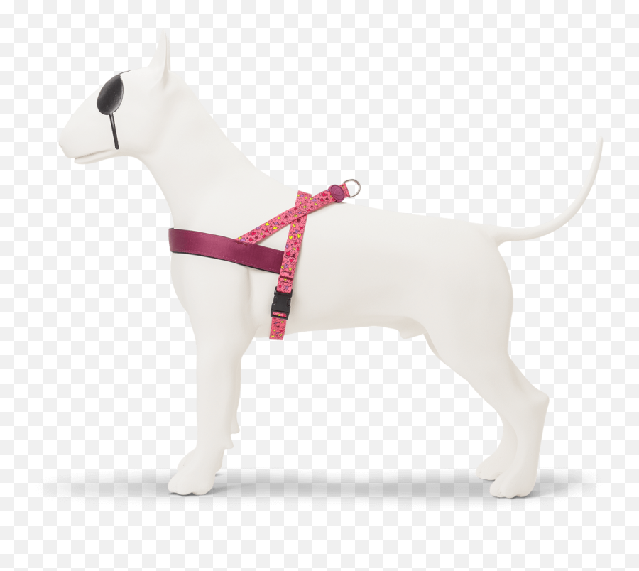 Morso The Dog Harness That Expresses Your Emotions Emoji,Norwegian Emotions