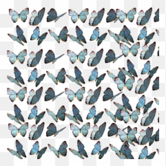 Butterfly Emoji Background Blue Sticker By Hi - Background Butterfly,Black And White Emoji Wallpaper