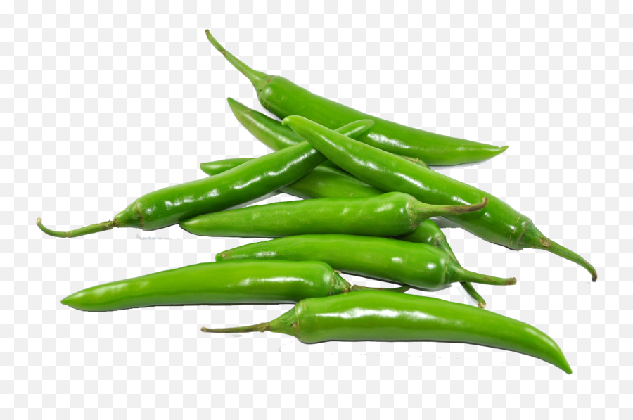 The Chili Pepper Is The Fruit Of Plants From The Genus - Transparent Green Chilli Png Emoji,Chili Pepper Emoji