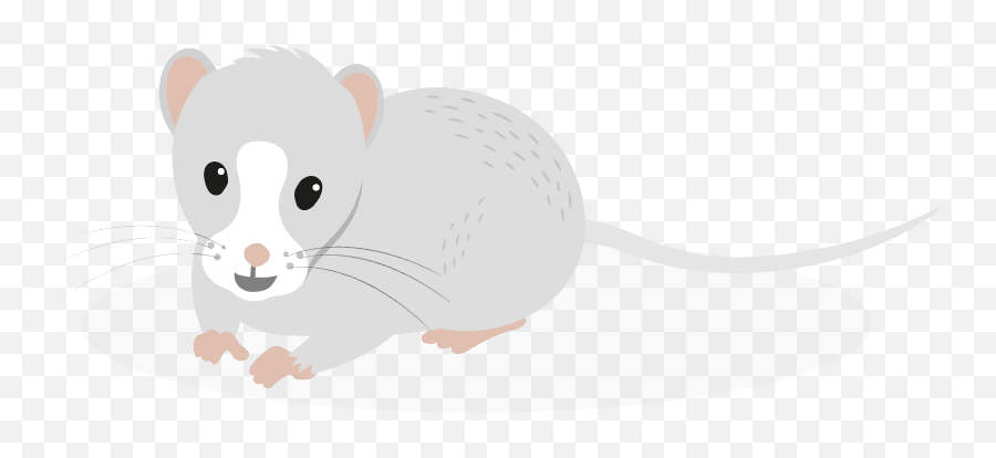 Your Gerbils Health - Animal Figure Emoji,Gerbil Tail Emotions