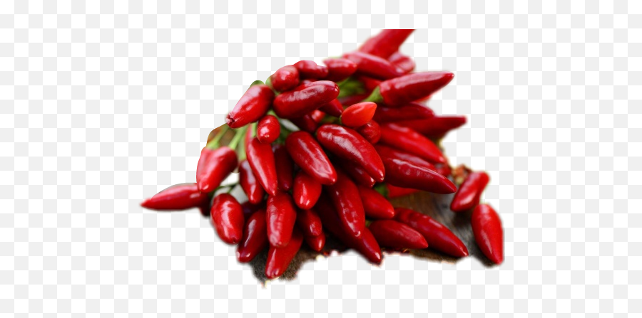 The Most Edited - Del Peperoncino Emoji,Emojis Spicey