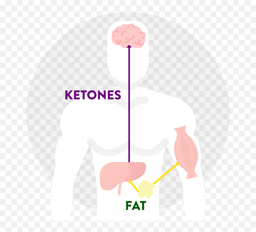 8 Week Keto Dashu2013 Muscle Fuel - Language Emoji,Emotions Stored In Fat Cells And Muscles
