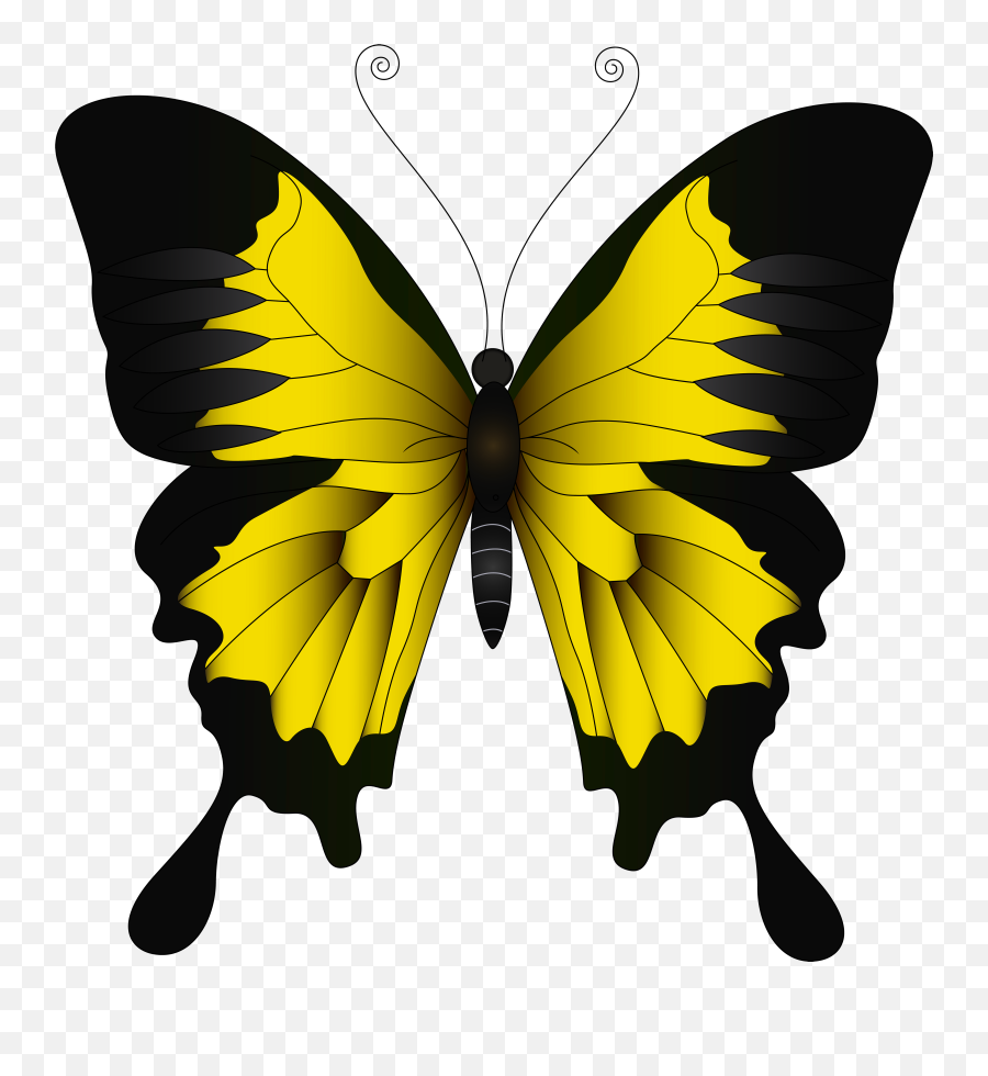 Yellow Butterfly Cliparts Png Images - Clipart Yellow Butterfly Emoji,L Black Swallowtail Butterfly!! Smile Emoticon