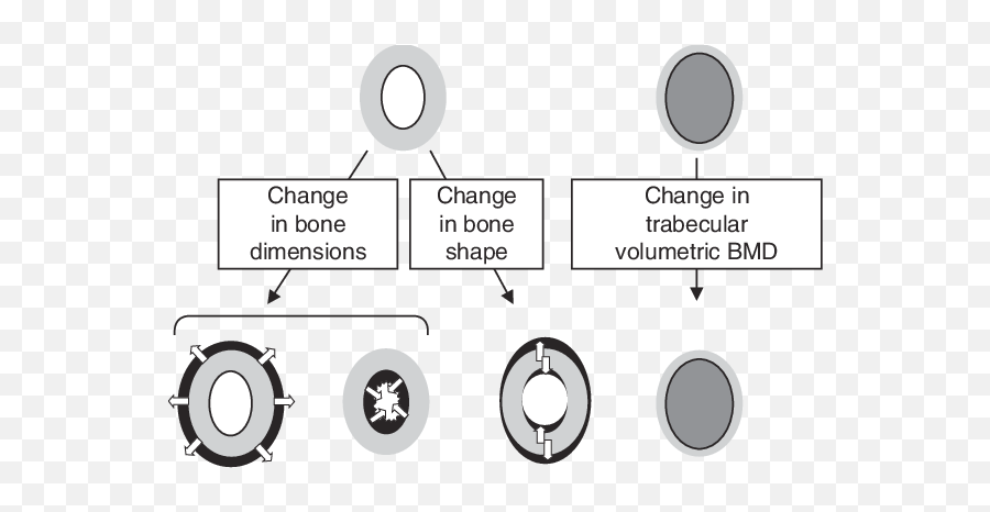 Potential Changes In Bone Mass And Shape That Underpin The Emoji,Images Of Releasing Emotions To Elevate Frequency