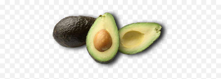 Avocado Picture Png Pictures - High Quality Image For Free Emoji,Avocado Emoji