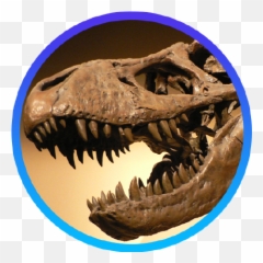 Credits - Scratch Addons Emoji,Discord Emoji Dinosaur