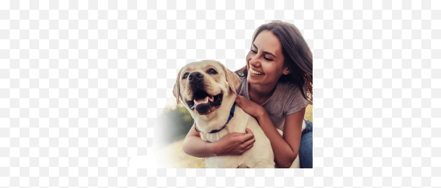 Blog - Happy Lady With Dog Emoji,Dog Ear Emotions