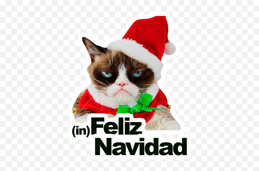 Sticker Maker - Grumpy Cat Y Lil Bub Emoji,Holiday Emoji Stickers Free