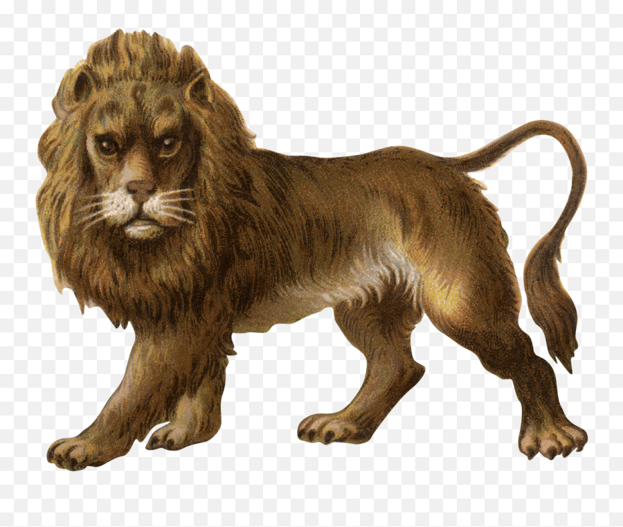 Free Lion Png Transparent Download Free Clip Art Free Clip - Vintage Lion Png Emoji,Real Lions Emotions