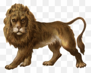 Free Lion Png Transparent Download Free Clip Art Free Clip - Vintage Lion Png Emoji,Real Lions Emotions