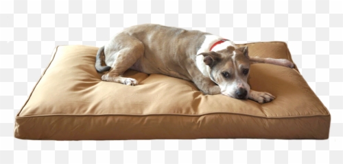 Extra Large Dog Beds Dog Beds For Big Dogs Bully Beds - Chew Proof Dog Bed Emoji,Bbc Dogs Emotions