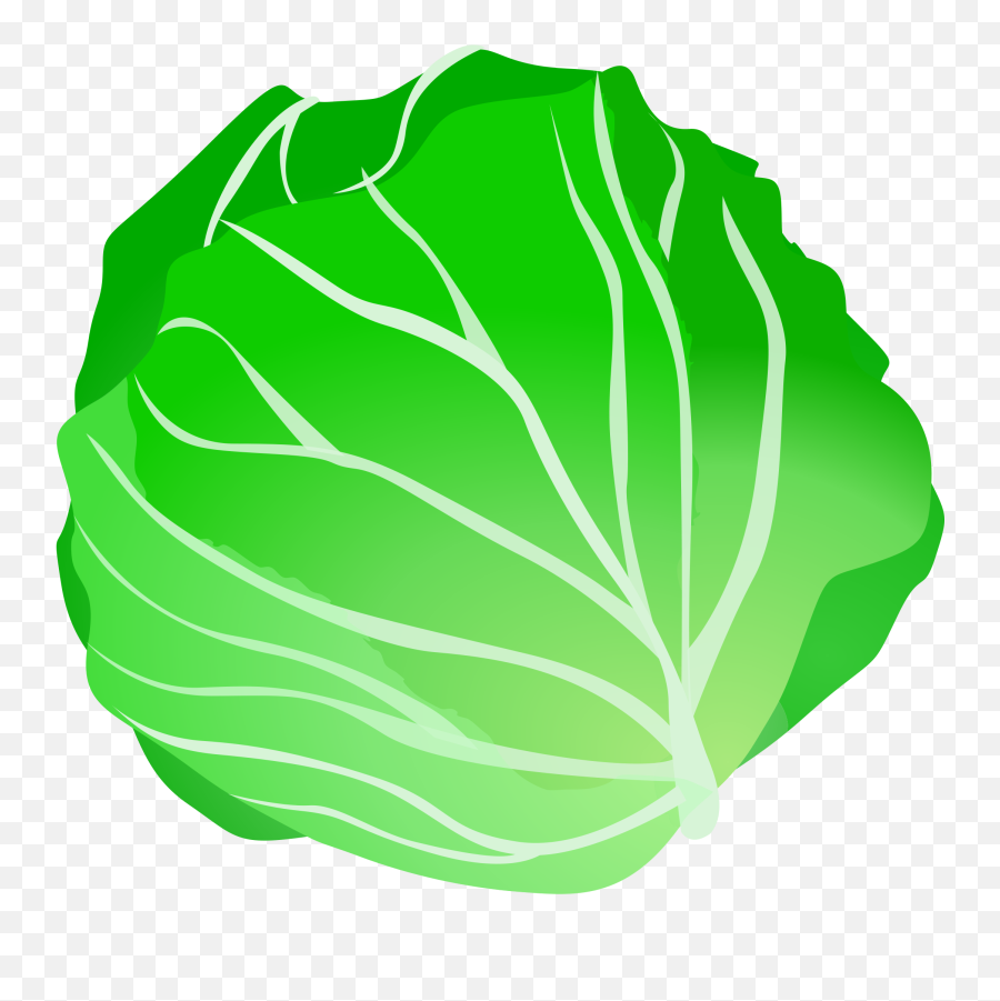 Lettuce Clip Art Clipartall Free - Cabbage Clipart Free Emoji,Lettuce Emoji