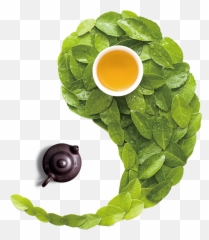 Green Tea Png Download - Top View Green Tea Png Emoji,Green Tea Emoji