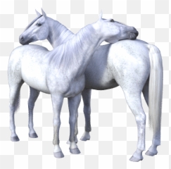 Jumpy Horse Stickers - Mustang Emoji,Horse Emoji App